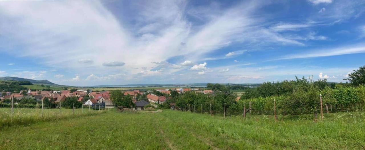 Prazdninovy Dum Na Palave S Vinnym Sklepem Milovice  Exterior foto